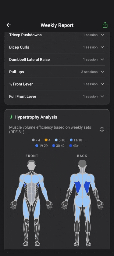 Hypertrophy analysis screen showing muscle group volume classifications and recommendations
